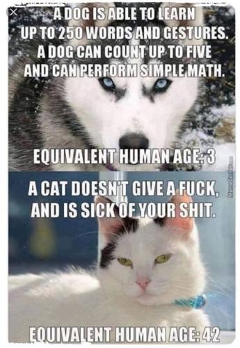 7ca93bf0ca74783d7c64dd17a47c157c