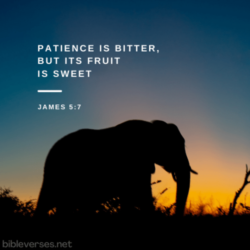FAITH - James 5.7 KJV