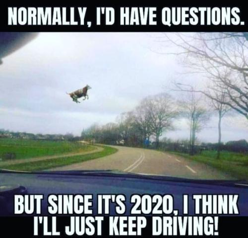 4beaf2ccedd3f5aa0f897b5b7d6a1901