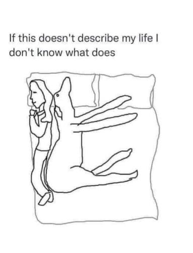 FB_IMG_1715191185811