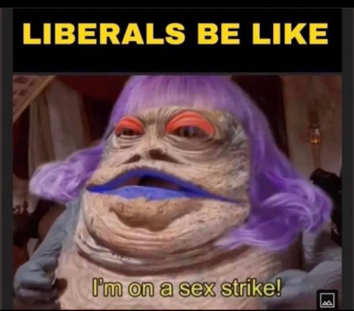 sngine_70fe93fa8ff50f1a30bab5e276d139cf