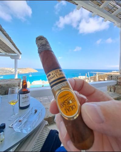 Screenshot_20240520-172923_My InstaPro