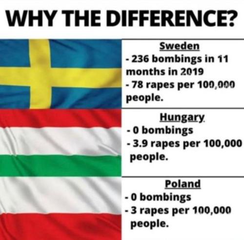 IMG_20240511_154505_792