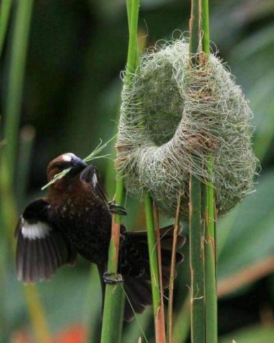 img-2e4facab