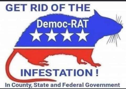 320883069_717786516380231_1399153117568179189_n