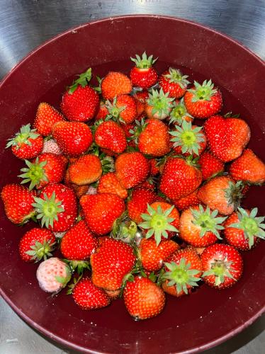 9085EB69-3FBF-49C7-8C10-2F7B71AE7FF8