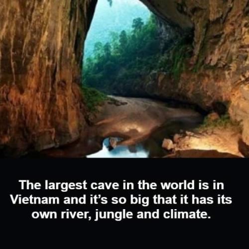 FB_IMG_1715967782849