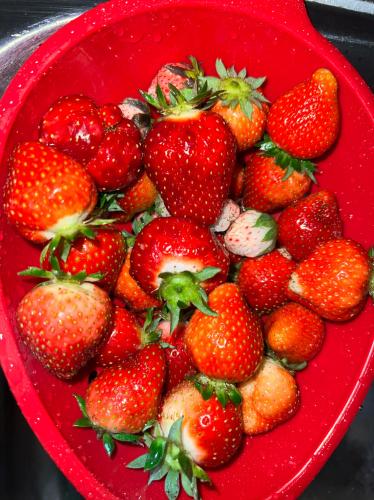 B3F8AE7E-95B1-4294-ABED-EE85BB5D55BE