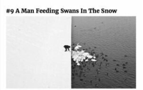 Screenshot_20240527-073332