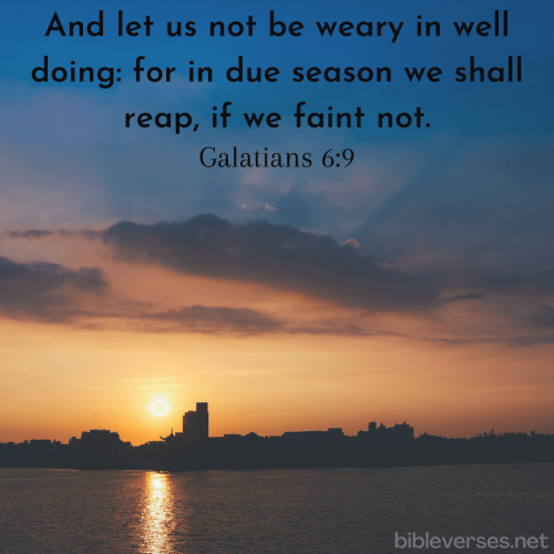 FAITH - Galatians 6.9 KJV