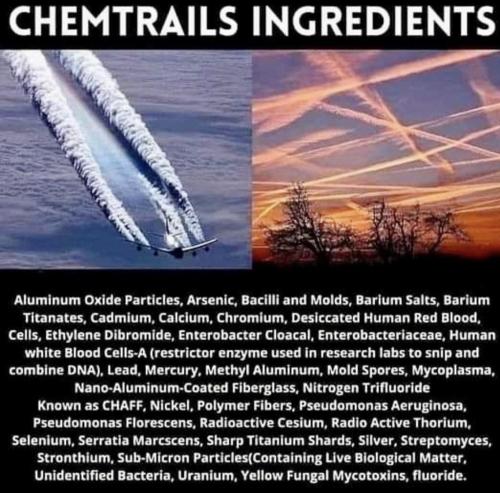 photo_2024-05-08_11-23-43 (2)