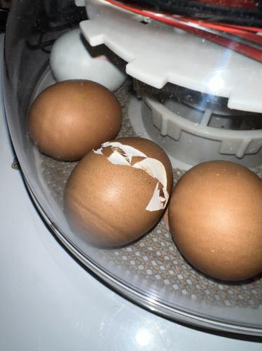 EA42DB9C-13FB-4A22-877D-A02DEEB836D8