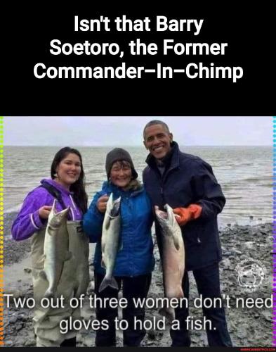 9aeddecc54b64c80ddfe5a0dbbc2c050ca25057fd10e12cdce3b5be71cf40d0c_1