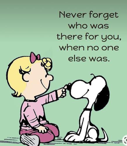 cd2b3e014e31ef247f7d8079086738f6