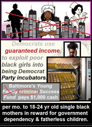 EXPLOITED BLACK WOMEN INCUBATORS