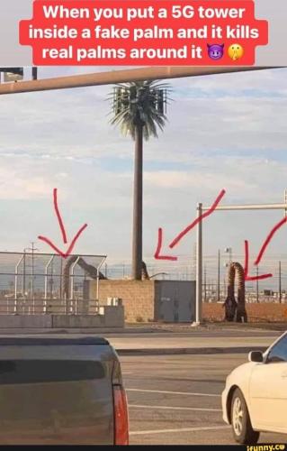 fe7a5304-43d8-41bc-bc73-909b3e170482