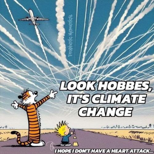 photo_2024-05-09_14-31-53