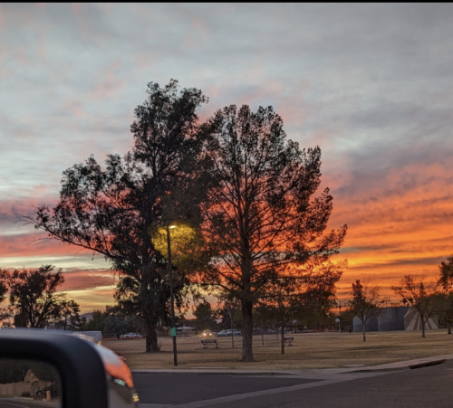 Screenshot_20240520-154508