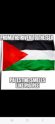 Screenshot_20240501_094213_Wimkin Free Speech Social Media