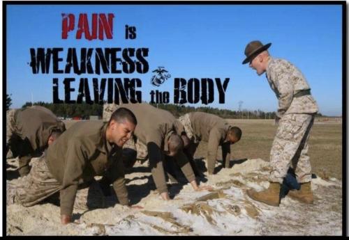 Screenshot_20240520_180049_Facebook