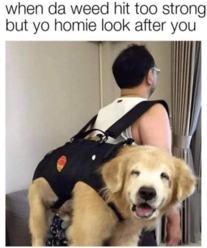 image_79542E59-ED71-4019-869F-DE4B4D1B1F7D