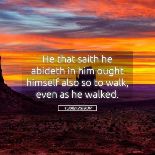 c6bab933-a236-48cc-8033-32b8b16c0851