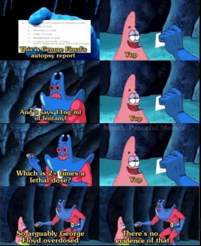 image_3CD5EDE2-B360-4146-9115-A968A79065D5