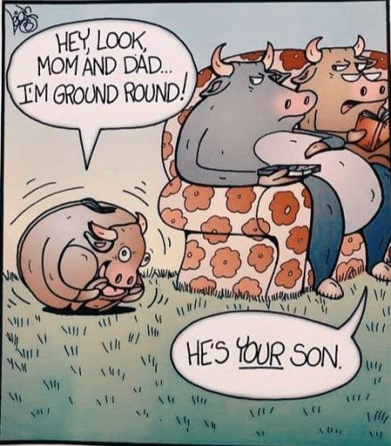 440576364_10229267442769484_5332729285292114662_n