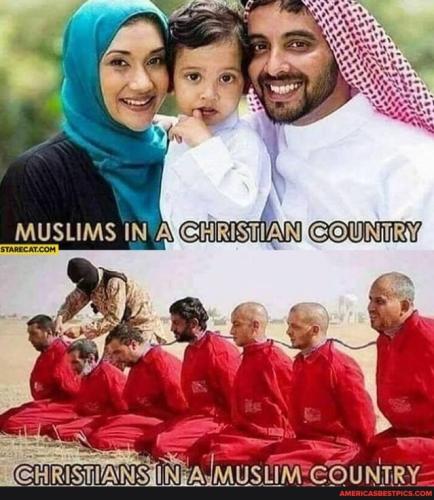 5d5600e4871b01a29047af5ca7b13f19852e8d0abfba4cfdd64dec9c9f1bd825_1