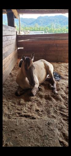 Screenshot_20240527_193737_Photos