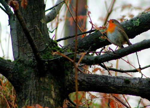 PicsArt_01-14-05.23.03-01