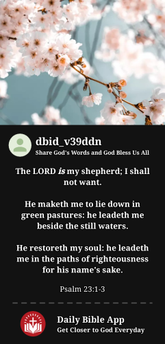 2024-05-161715872415934