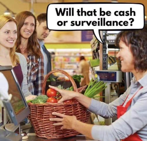 image_9349576A-3AE8-4902-BAAF-D1273524E420