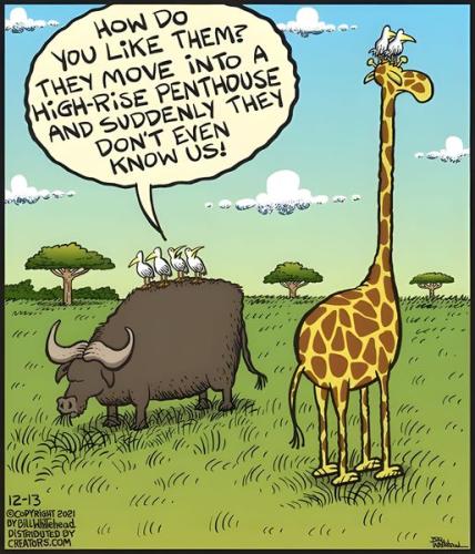 435921140_299687956517869_6431919225957613242_n