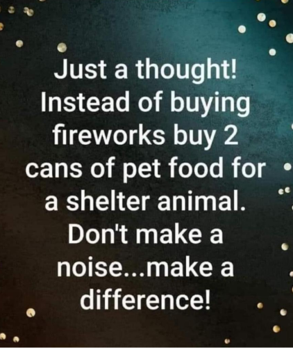 Screenshot_2024-05-22-11-54-55_kindlephoto-5519911