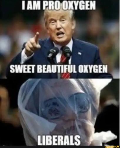 7fa791dbb8149f84d685e75cd4ccdde45d2031af1220cfc12807cf9c73819c25_1