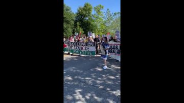 GNVCovyawAAu8uE