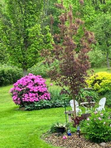 D91EEFBC-F79C-4182-A73A-056F8137CF53