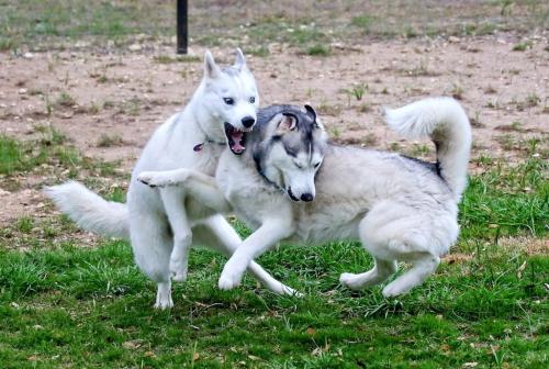 Boy, you need a breath mint!   (Finn & Piper)