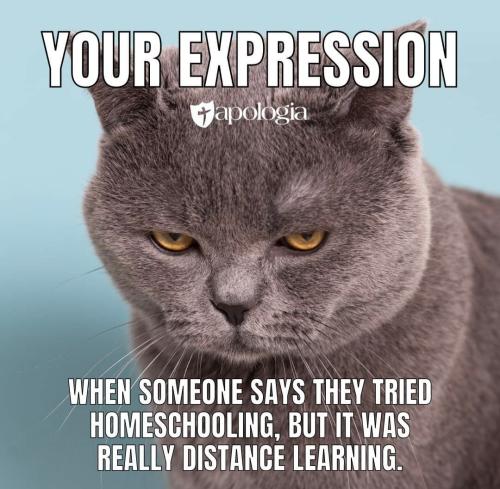 Screenshot_20240521_033155_Facebook