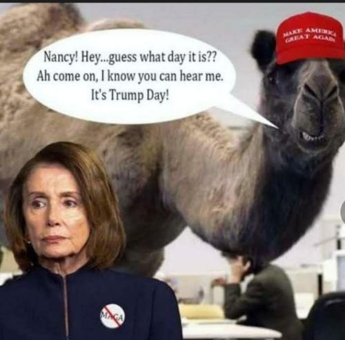 a861d600-4b78-4150-8140-352982e0798e