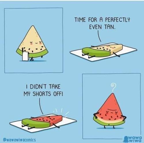 442486576_8077429575614859_6502558626995590430_n