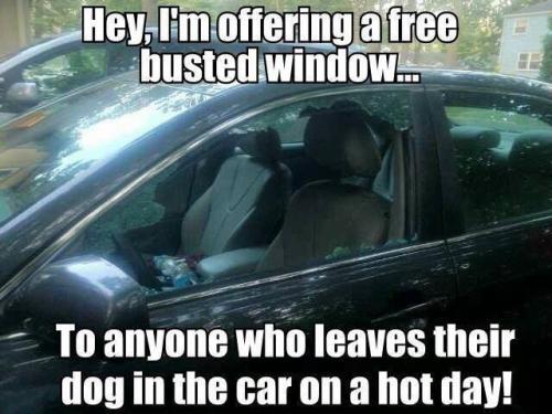 a6f2131aaa0fe0c5ef38b1c9eca6d705