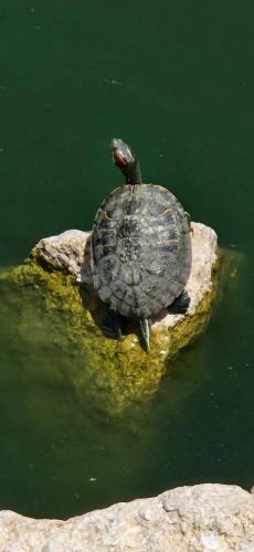 19:21:20 GMT-0500 (CDT)