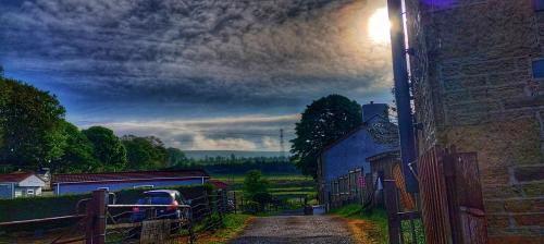 IMG_20240513_073554069_HDR-01