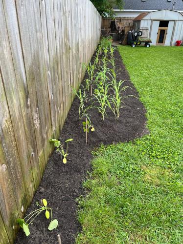 6166AED0-5333-4D8F-85D9-DC4E25B03650