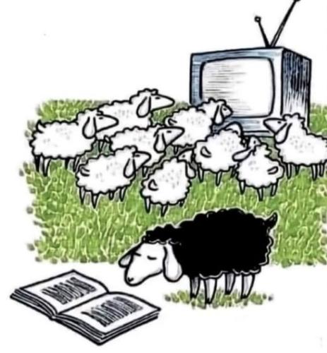 Image 11-02-2024 at 21.28