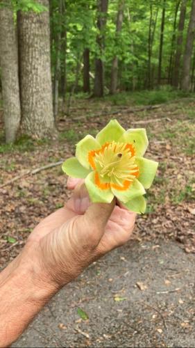 C156713B-A7A4-44DC-A4C6-31B30605BC07