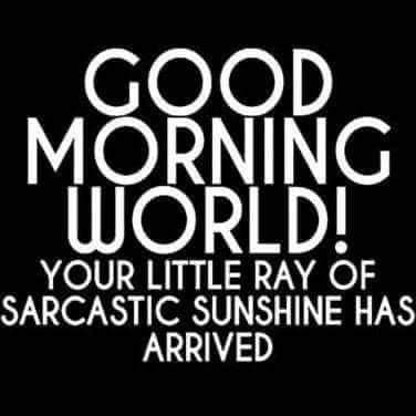 440859788_8147144655315774_9005905056858045702_n