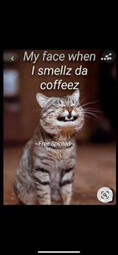 444990271_1029923682081682_2599845138879985580_n